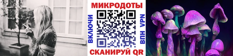 кракен ссылки  наркота  Инсар  Псилоцибиновые грибы мицелий 